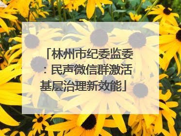 林州市纪委监委：民声微信群激活基层治理新效能