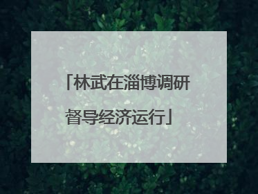 林武在淄博调研督导经济运行