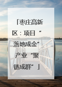 枣庄高新区：项目“落地成金” 产业“聚链成群”