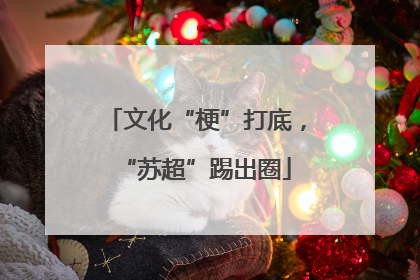 文化“梗”打底，“苏超”踢出圈