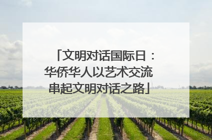 文明对话国际日：华侨华人以艺术交流串起文明对话之路