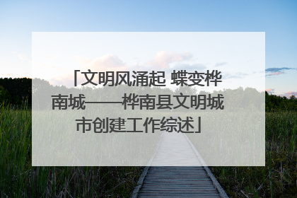文明风涌起 蝶变桦南城——桦南县文明城市创建工作综述