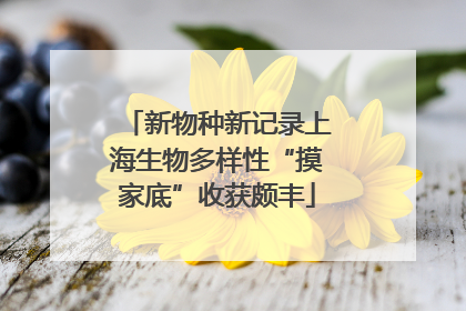 新物种新记录上海生物多样性“摸家底”收获颇丰