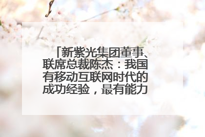 新紫光集团董事、联席总裁陈杰：我国有移动互联网时代的成功经验，最有能力做好AI应用创新
