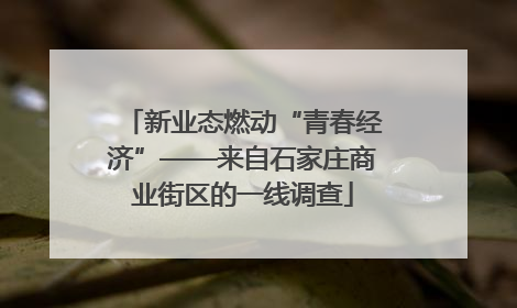 新业态燃动“青春经济”——来自石家庄商业街区的一线调查