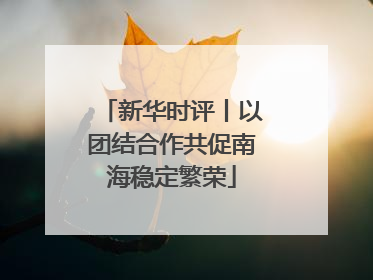 新华时评丨以团结合作共促南海稳定繁荣