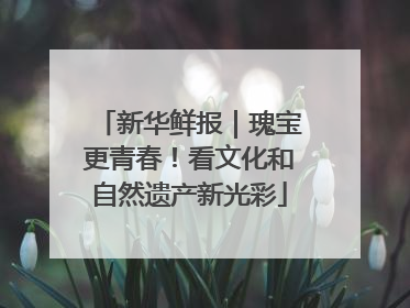 新华鲜报｜瑰宝更青春！看文化和自然遗产新光彩