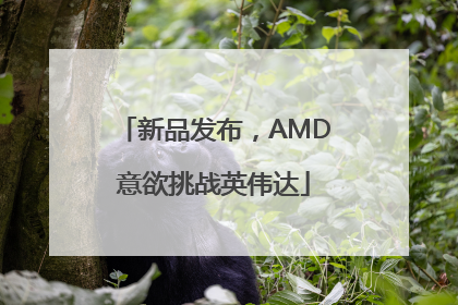 新品发布，AMD意欲挑战英伟达