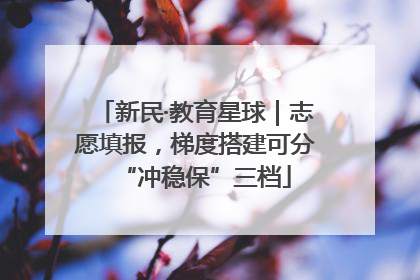 新民·教育星球｜志愿填报，梯度搭建可分“冲稳保”三档