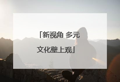 新视角 多元文化壁上观