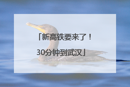 新高铁要来了！30分钟到武汉