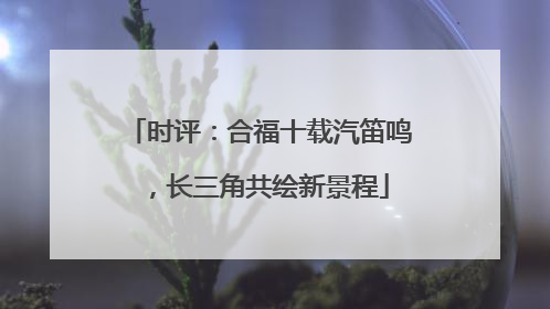 时评：合福十载汽笛鸣，长三角共绘新景程