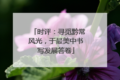 时评：寻觅黔常风光，于最美中书写发展答卷