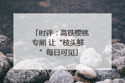 时评：高铁樱桃专厢 让“枝头鲜”每日可见