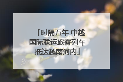 时隔五年 中越国际联运旅客列车抵达越南河内