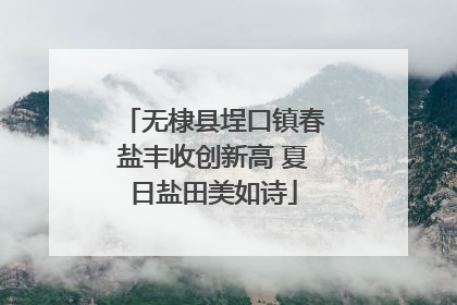 无棣县埕口镇春盐丰收创新高 夏日盐田美如诗