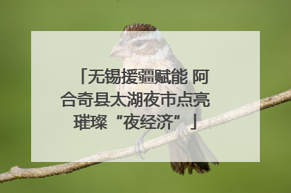 无锡援疆赋能 阿合奇县太湖夜市点亮璀璨“夜经济”