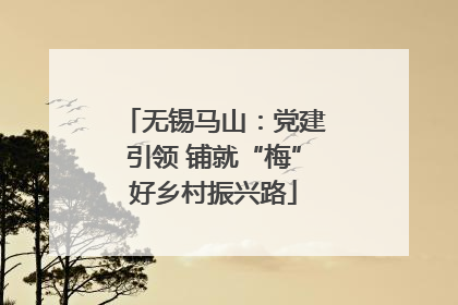 无锡马山：党建引领 铺就“梅”好乡村振兴路
