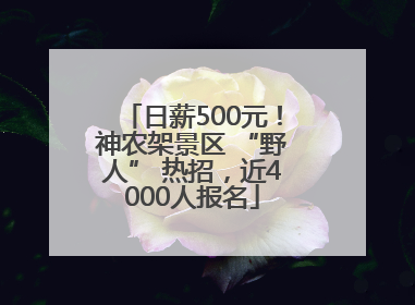 日薪500元！神农架景区 “野人” 热招，近4000人报名