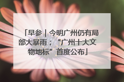 早参｜今明广州仍有局部大暴雨；“广州十大文物地标”首度公布