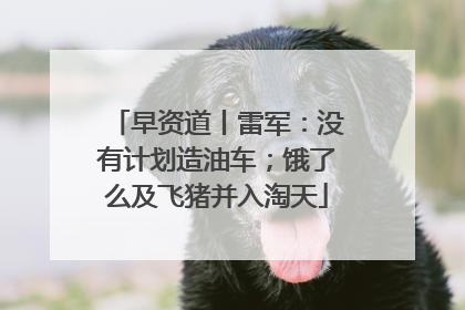 早资道丨雷军：没有计划造油车；饿了么及飞猪并入淘天