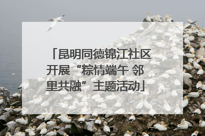 昆明同德锦江社区开展“粽情端午 邻里共融”主题活动