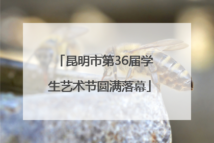 昆明市第36届学生艺术节圆满落幕