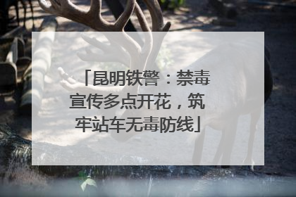 昆明铁警：禁毒宣传多点开花，筑牢站车无毒防线