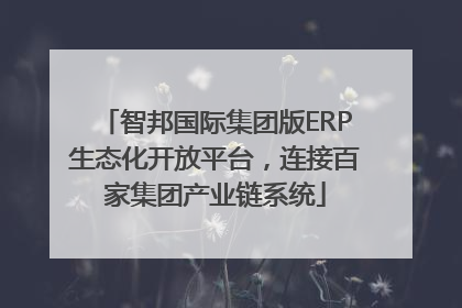 智邦国际集团版ERP生态化开放平台，连接百家集团产业链系统