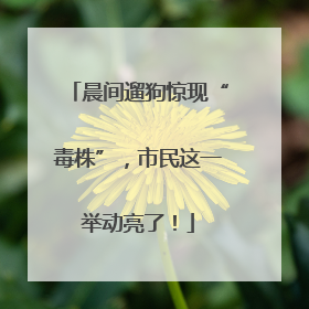 晨间遛狗惊现“毒株”，市民这一举动亮了！