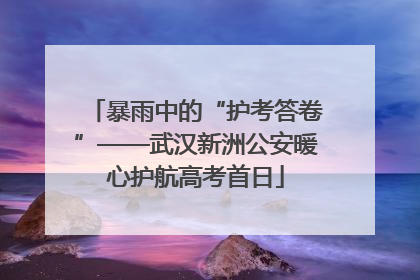 暴雨中的“护考答卷”——武汉新洲公安暖心护航高考首日