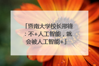 暨南大学校长邢锋：不+人工智能，就会被人工智能+