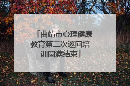 曲靖市心理健康教育第二次巡回培训圆满结束
