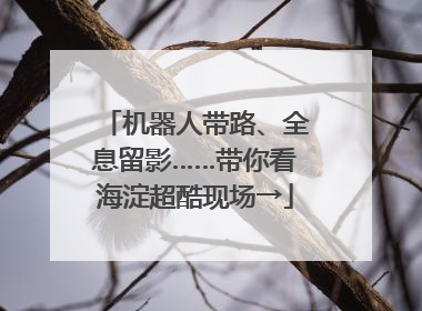 机器人带路、全息留影……带你看海淀超酷现场→