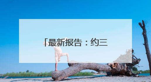 最新报告：约三成韩国人有宠物
