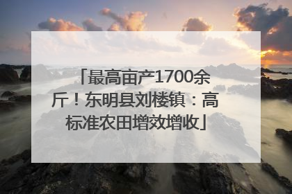 最高亩产1700余斤！东明县刘楼镇：高标准农田增效增收