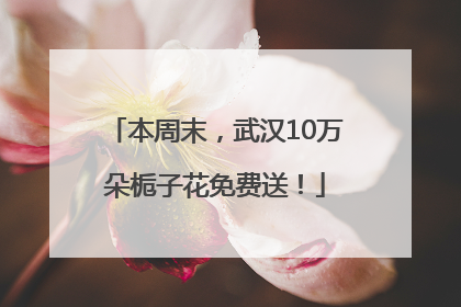 本周末，武汉10万朵栀子花免费送！