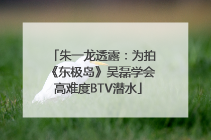 朱一龙透露：为拍《东极岛》吴磊学会高难度BTV潜水