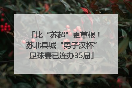 比“苏超”更草根！苏北县城“男子汉杯”足球赛已连办35届