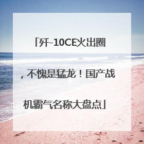 歼-10CE火出圈，不愧是猛龙！国产战机霸气名称大盘点