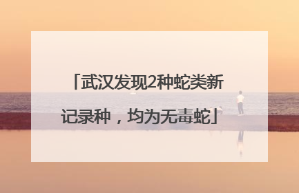 武汉发现2种蛇类新记录种，均为无毒蛇