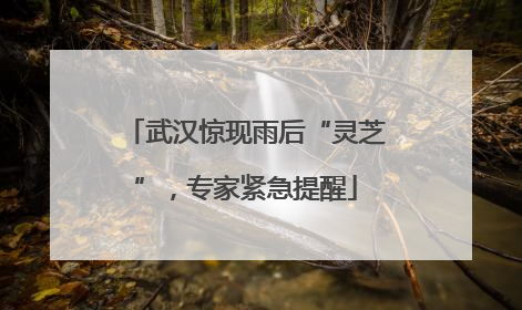 武汉惊现雨后“灵芝”，专家紧急提醒