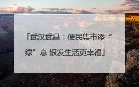 武汉武昌：便民集市添“绿”意 银发生活更幸福