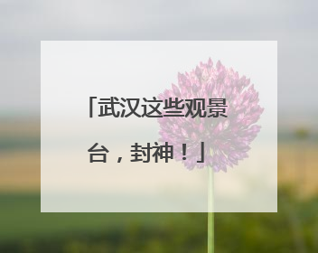 武汉这些观景台，封神！