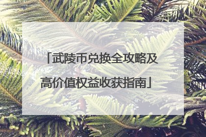 武陵币兑换全攻略及高价值权益收获指南