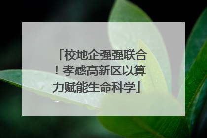 校地企强强联合！孝感高新区以算力赋能生命科学