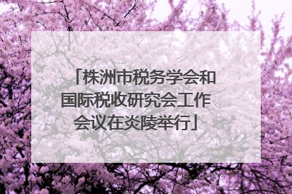 株洲市税务学会和国际税收研究会工作会议在炎陵举行
