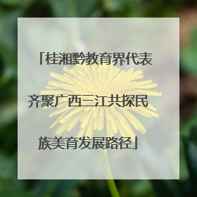 桂湘黔教育界代表齐聚广西三江共探民族美育发展路径