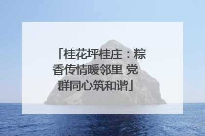 桂花坪桂庄：粽香传情暖邻里 党群同心筑和谐
