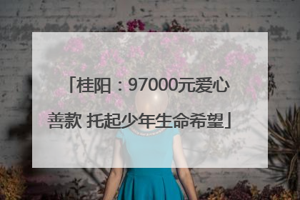桂阳：97000元爱心善款 托起少年生命希望